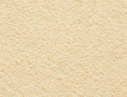 Onion Powder