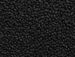 Nigella Seeds