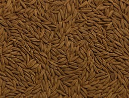 Caraway Seeds