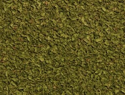 Basil (dried)