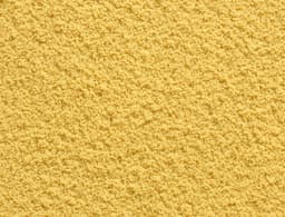 Mustard (ground)