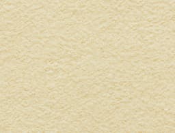 Garlic Powder