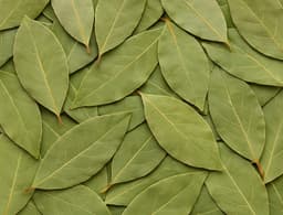 Bay Leaves (whole)