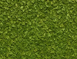 Parsley (dried)